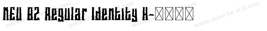 NEU BZ Regular Identity H字体转换